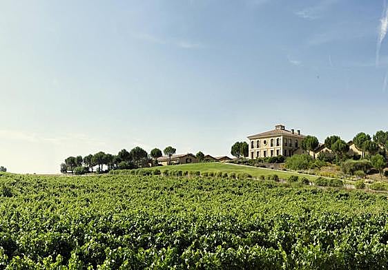 Exterior de la bodega, junto a los viñedos.