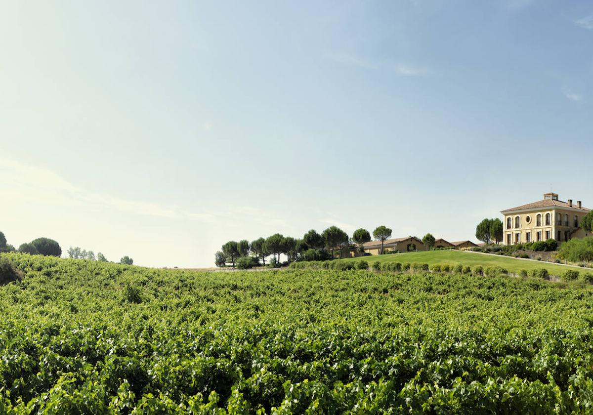 Exterior de la bodega, junto a los viñedos.