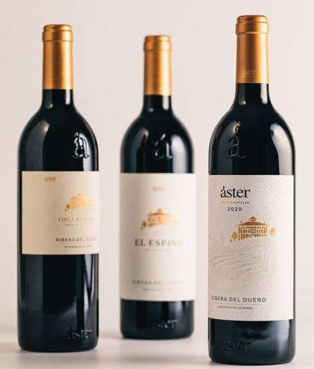 La gama de sus vinos.