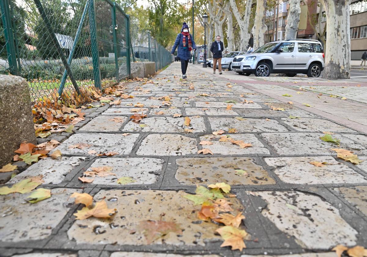 La avenida Ramón y Cajal de Valladolid.