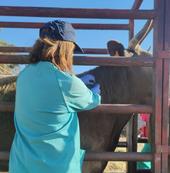 Los nueve jefes de Sección de Sanidad y Producción Animal vuelven a plantarse