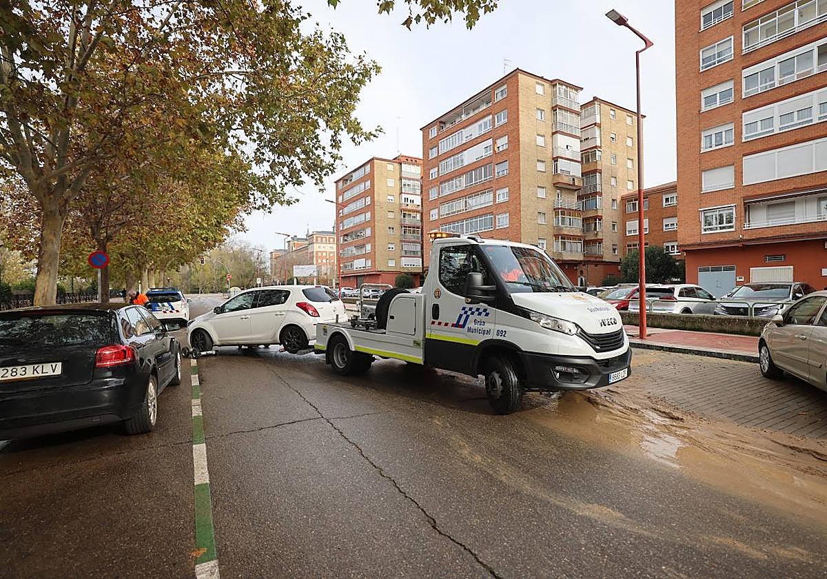 Una grúa municipal retira un vehículo del paseo del Renacimiento.
