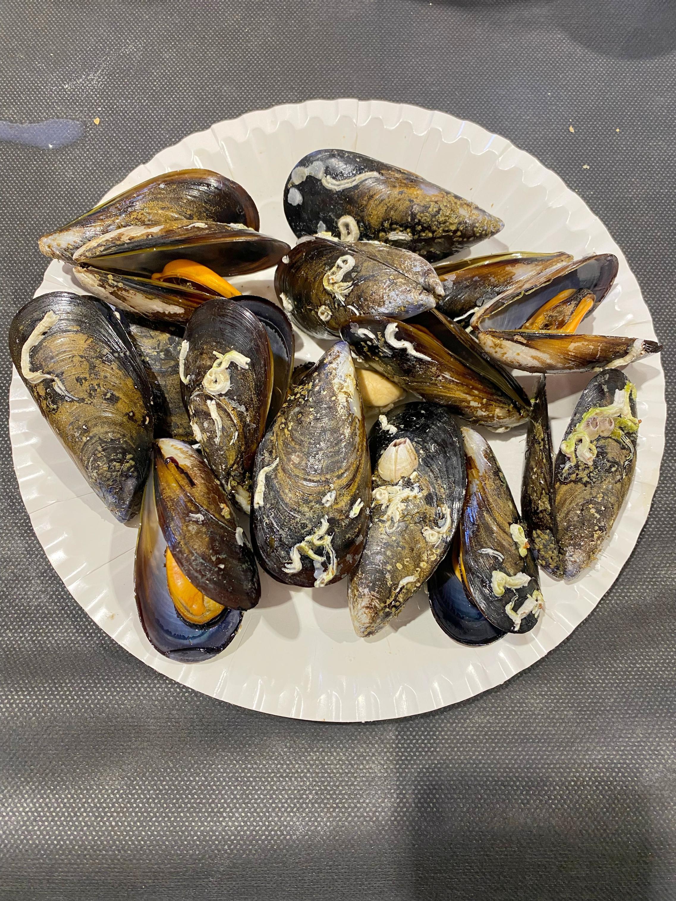 Herrera de Valdecañas se vuelca con sus Fiestas