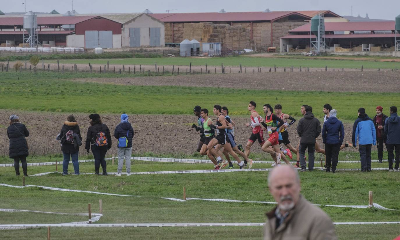 El Cross de Cantimpalos, en imágenes