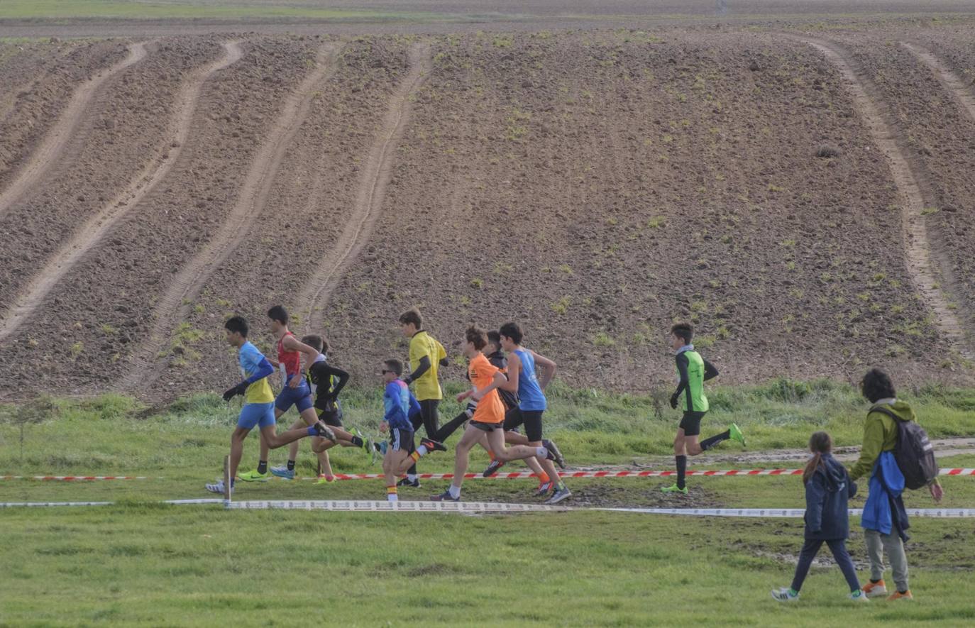 El Cross de Cantimpalos, en imágenes