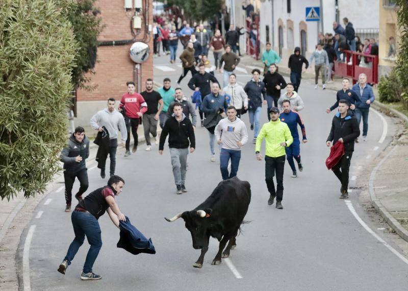 Las imágenes del encierro en Pollos