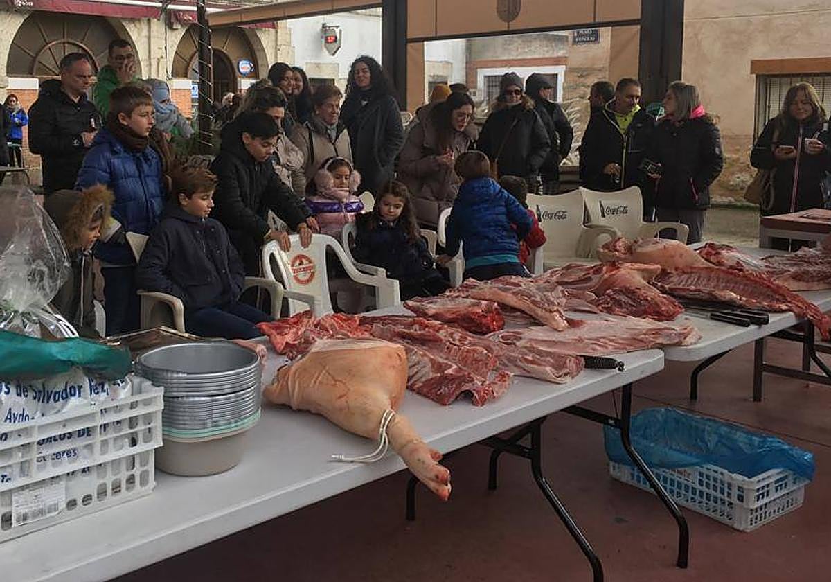 Los niños aprendieron de sus mayores en esta gran fiesta matancera.