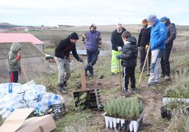 Plantación de árboles organizada por El Españadal.