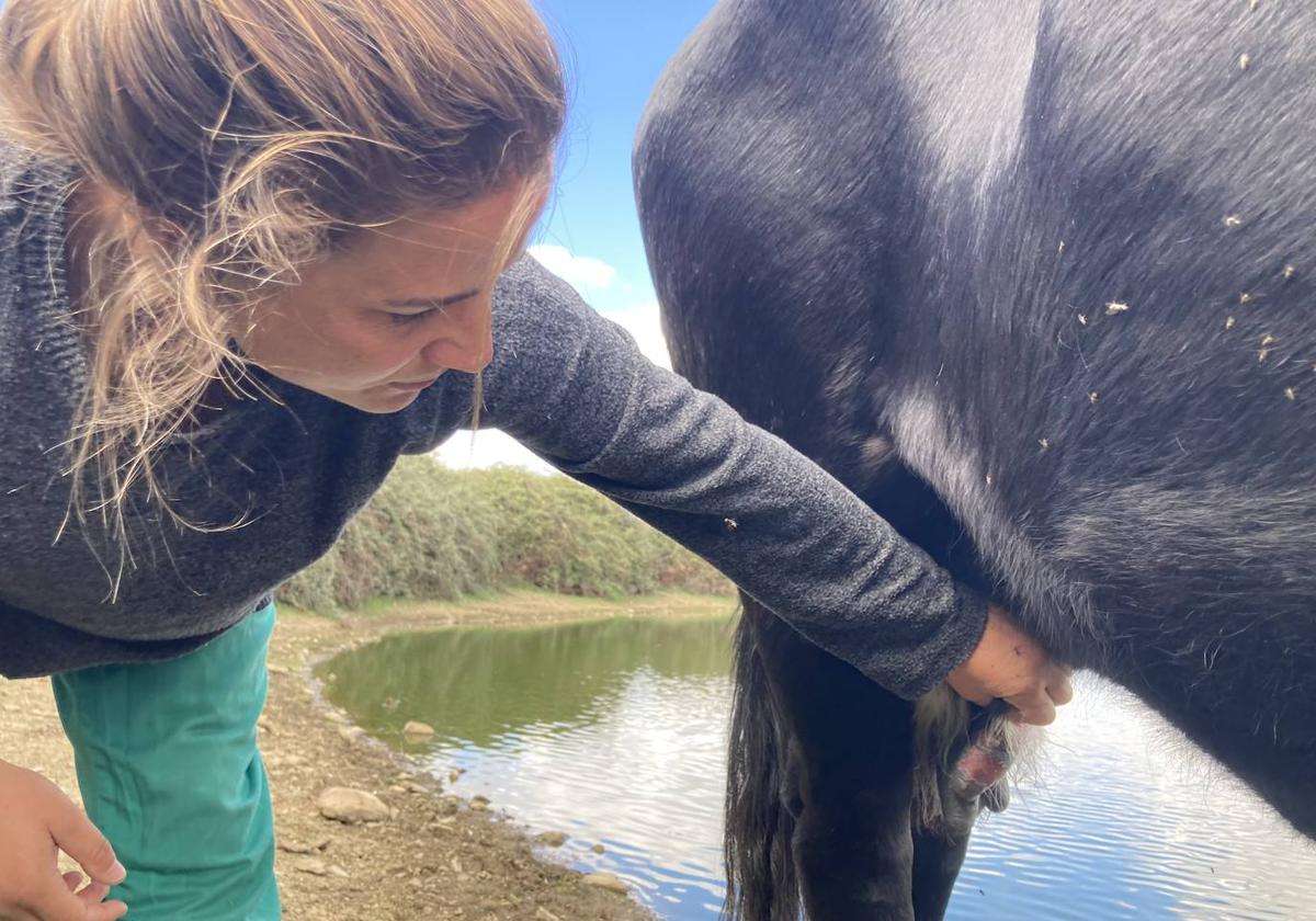 Los consejeros de Agricultura de Vox piden una vacuna contra la EHE