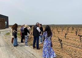 Imagen de archivo de una visita a la Ruta del Vino de Rueda.