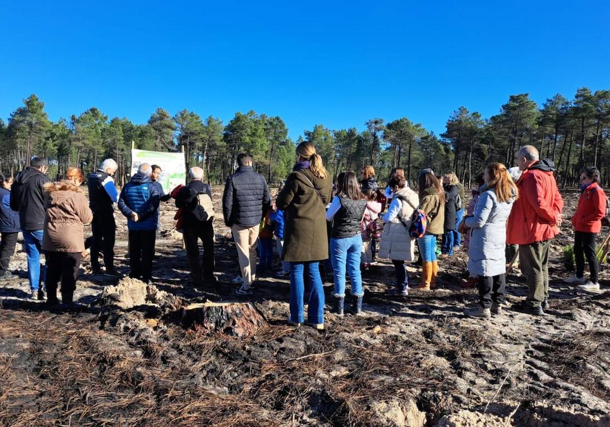 Algunos de los participantes en la reforestación de San Benito de Gallegos, este jueves.