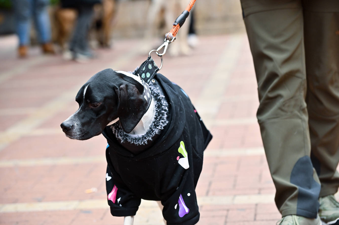 El mercadillo navideño Animalid, en imágenes