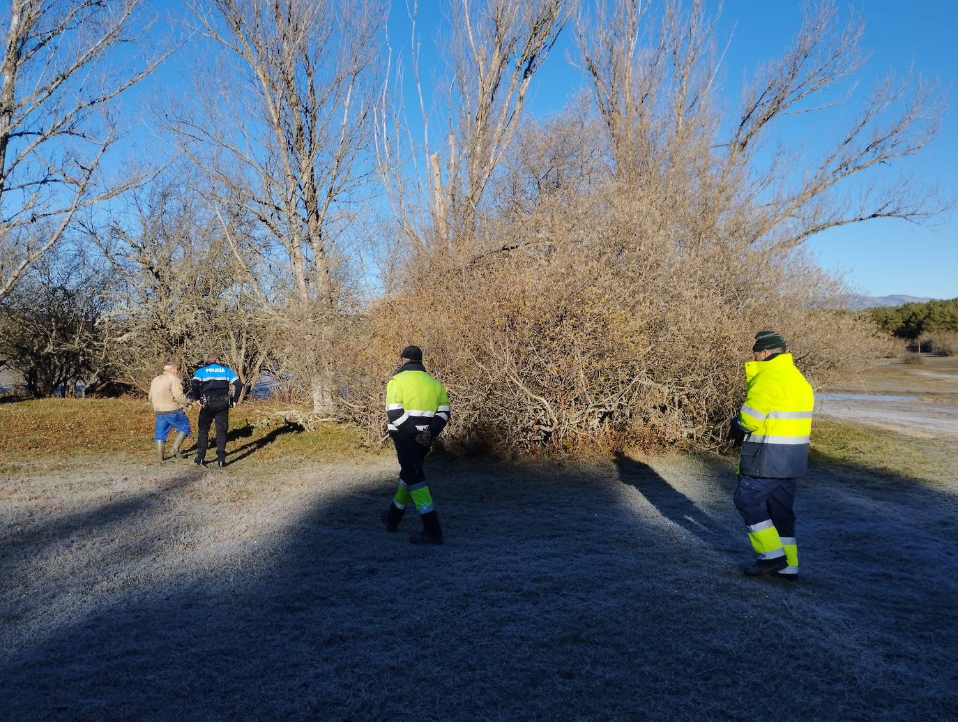 La mastina y sus ocho cachorros de Aguilar de Campoo