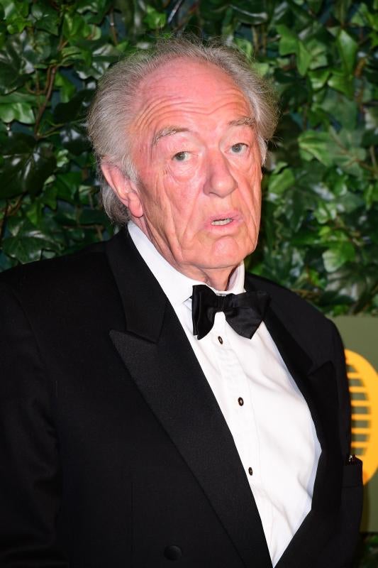 Michael Gambon, actor conocido por interpretar a Dumbledore en la icónica saga de Harry Potter, murió con 82 años el 27 de septiembre debido a una neumonía.