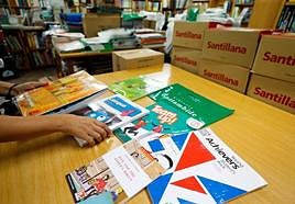 Imagen de archivo de libros de texto.