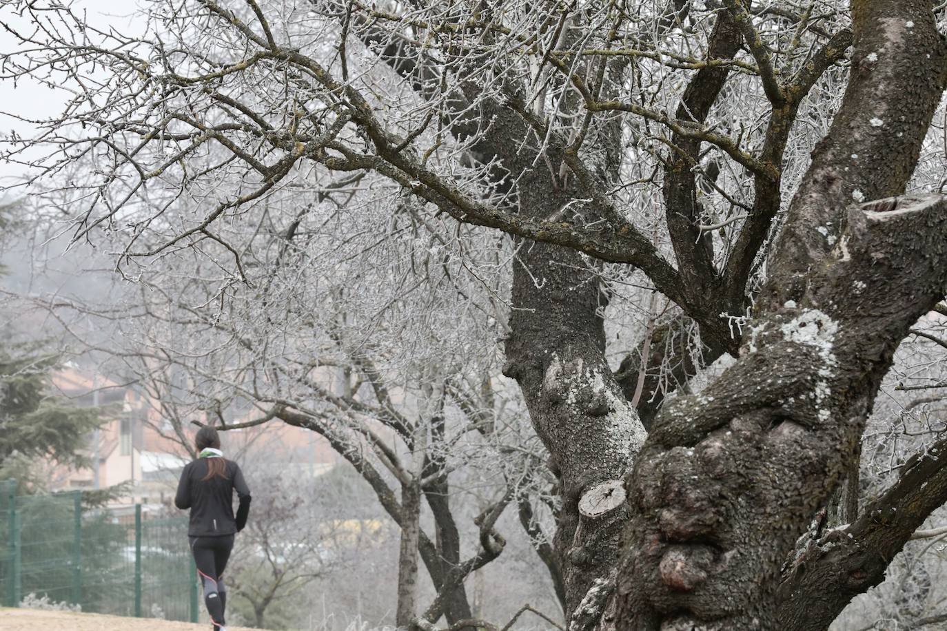 La ciudad amanece de nuevo cubierta de hielo