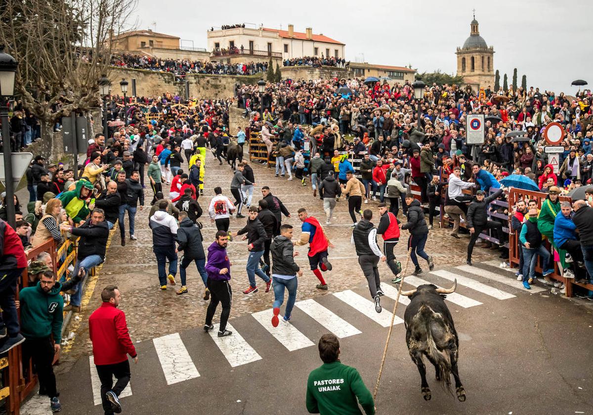 Encierro del Sábado de Carnaval de 2023, en Ciudad Rodrigo.