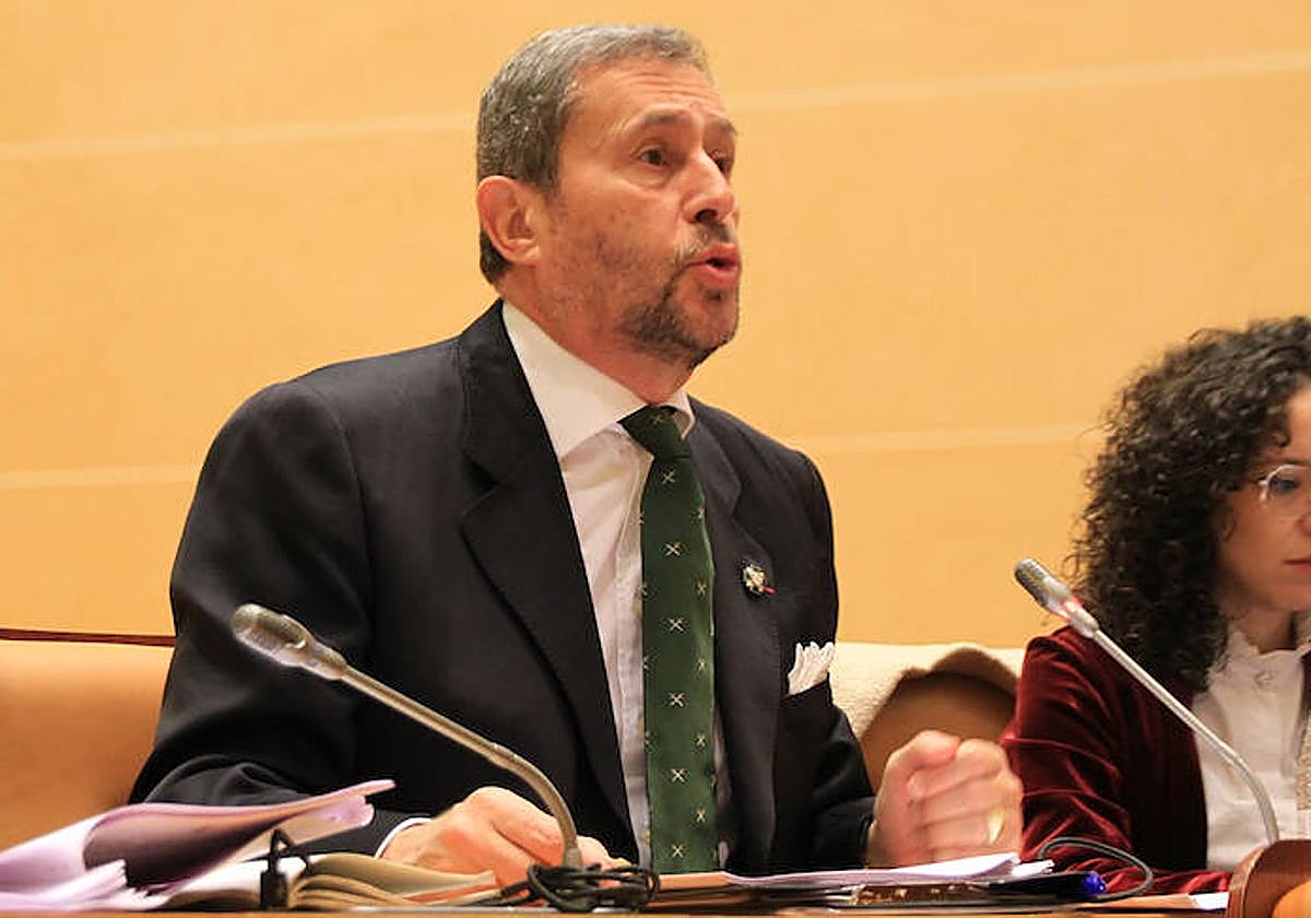 El concejal de Vox, Alfonso Ceballos-Escalera, durante el pleno de este viernes.