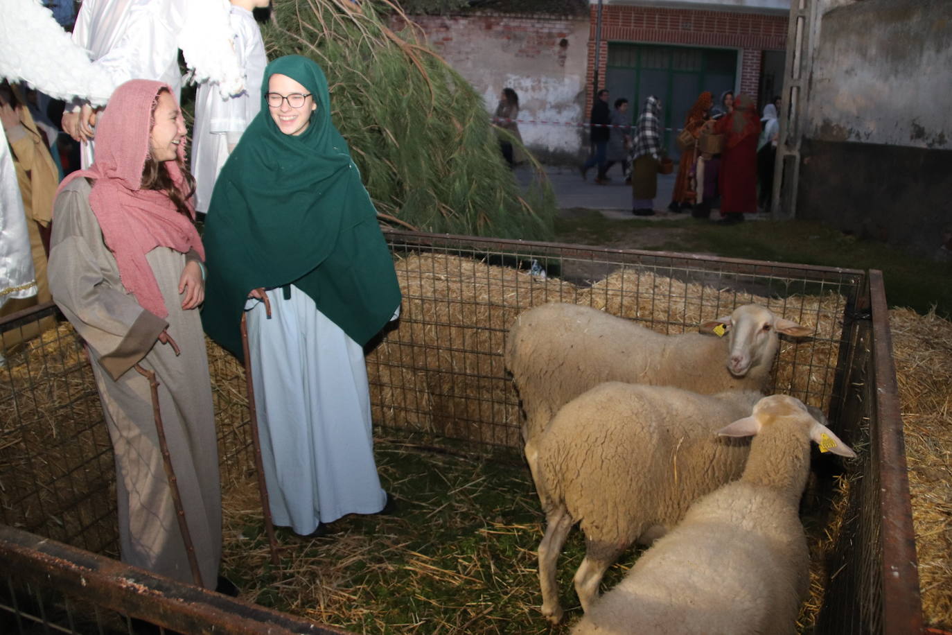 El belén viviente de Zarzuela del Pinar, en imágenes