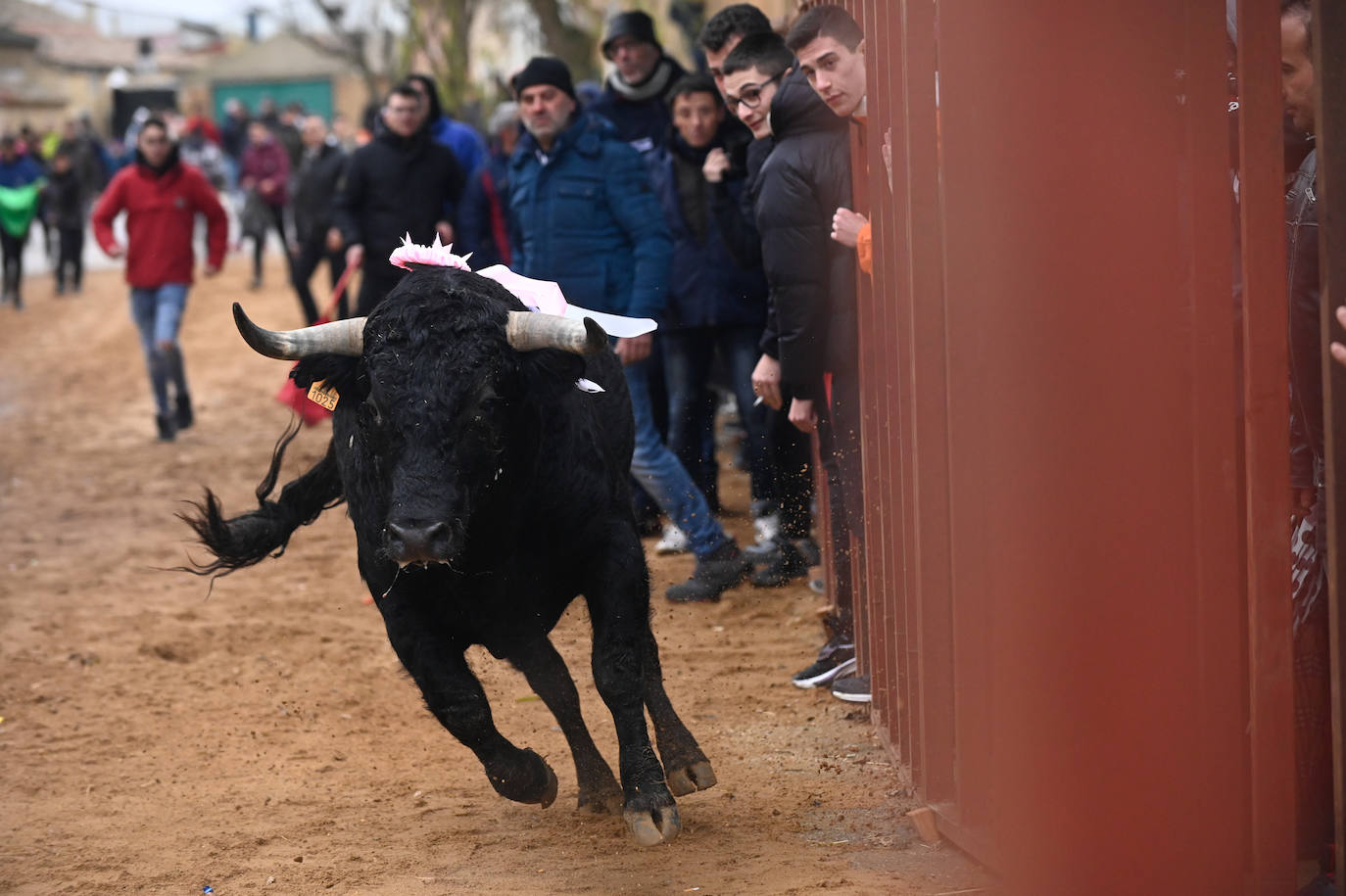 Valladolid instala ocho réplicas gigantes del 'cabezón' de los premios Goya