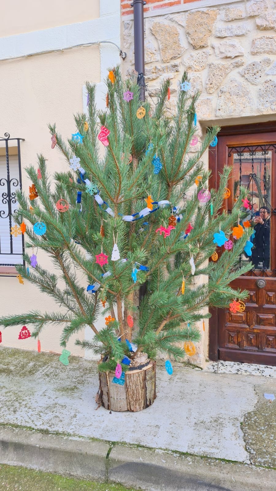 Cordovilla la Real ha brillado durante la Navidad con una esmerada decoración de árboles navideños