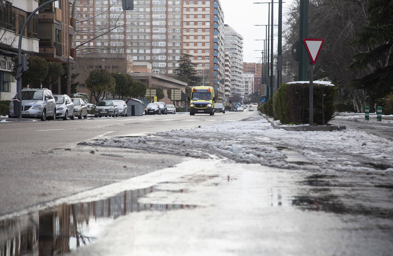 El deshielo que vivió Valladolid se puede apreciar en el paseo de Isabel la Católica. Incluso los coches habían perdido la capa blanca que les cubría.