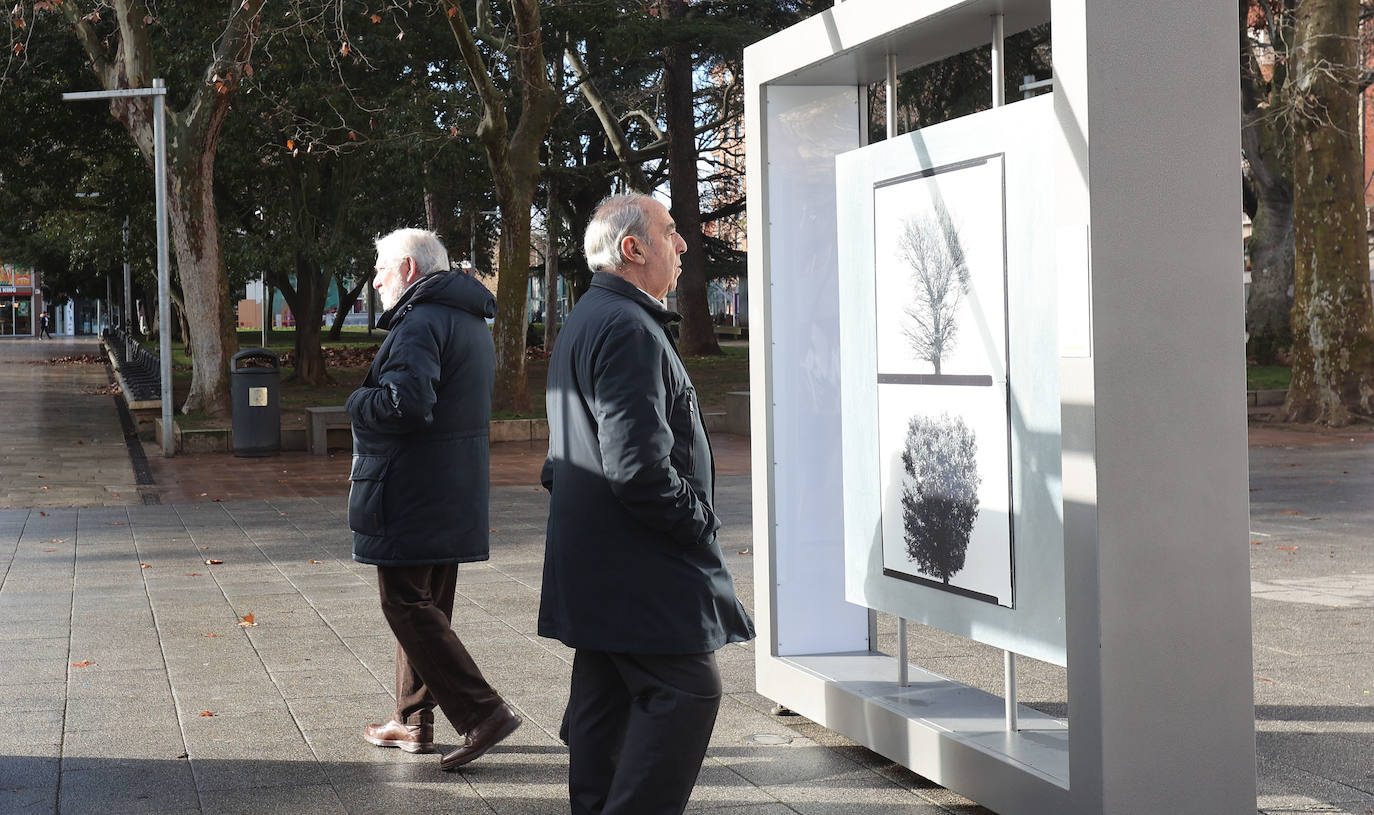 Fotos: 50 fotografías con historia acampan en el Salón en Palencia