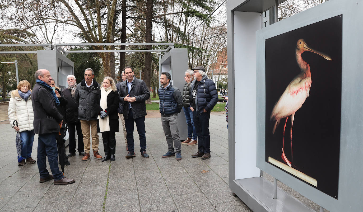 Fotos: 50 fotografías con historia acampan en el Salón en Palencia