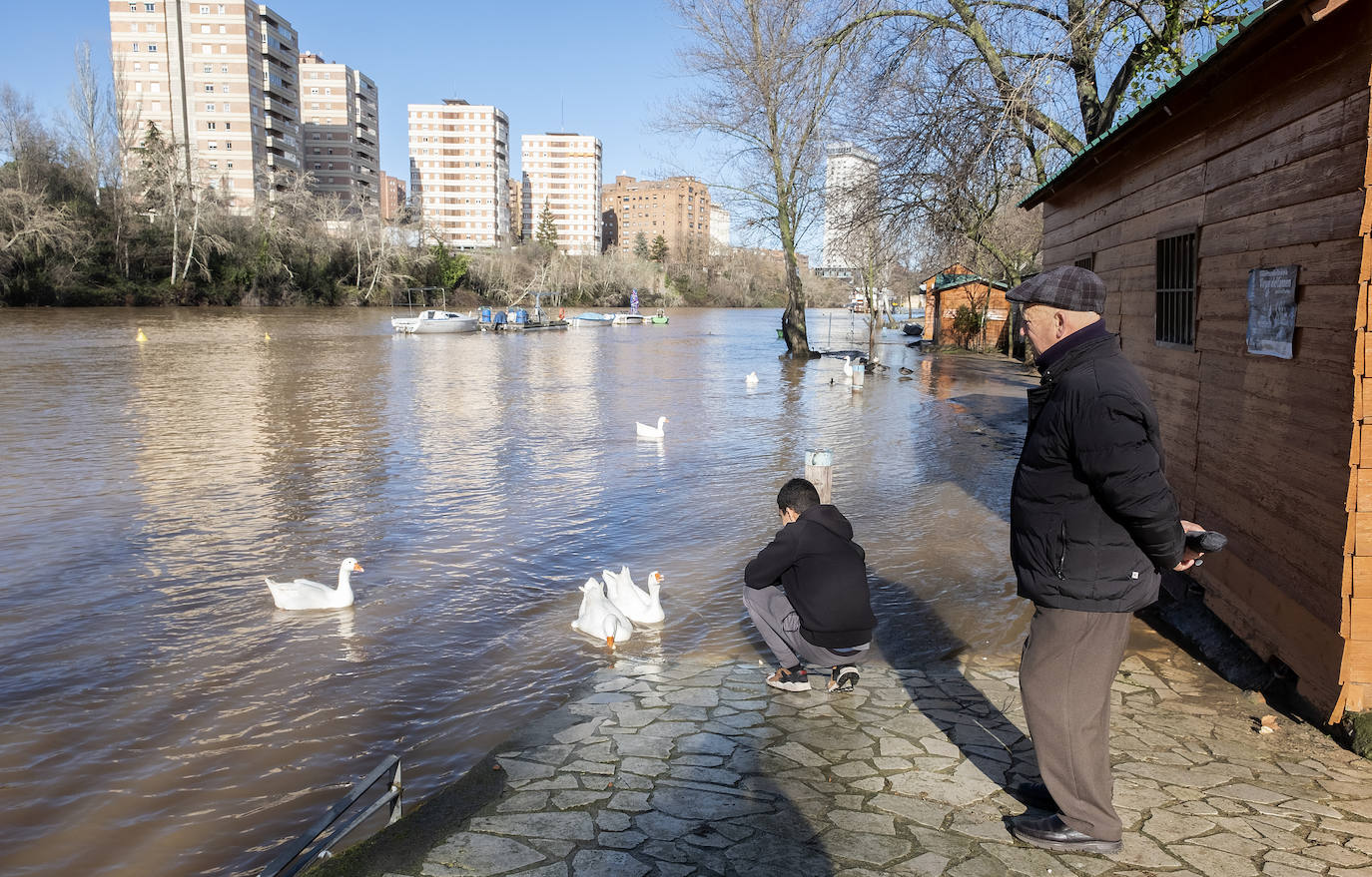 Miembros del club de piragüismo observan uno de los pantalanes del río. 