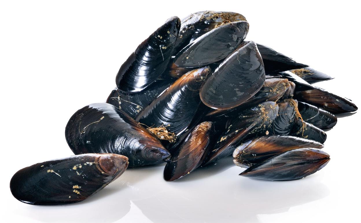 Incautados 75 kilos de mejillones en estado de descomposición en un mercadillo de Palencia