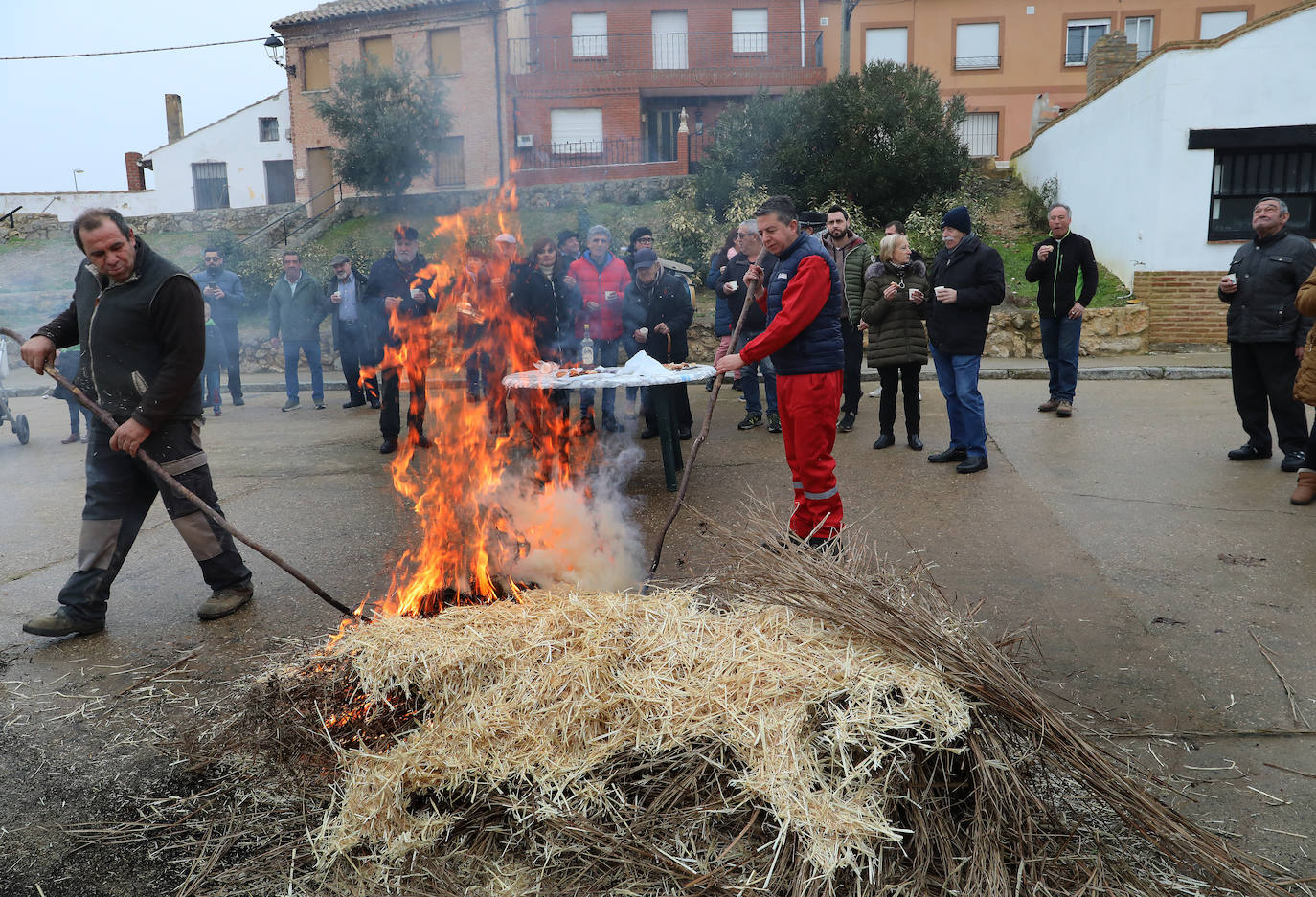 Fotos: Fuentes de Nava vive la fiesta de San Antón