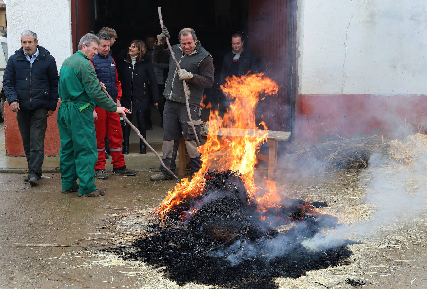 Fotos: Fuentes de Nava vive la fiesta de San Antón