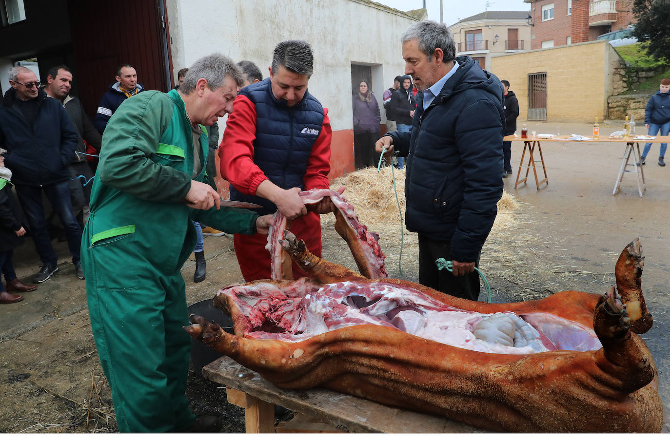 Fotos: Fuentes de Nava vive la fiesta de San Antón