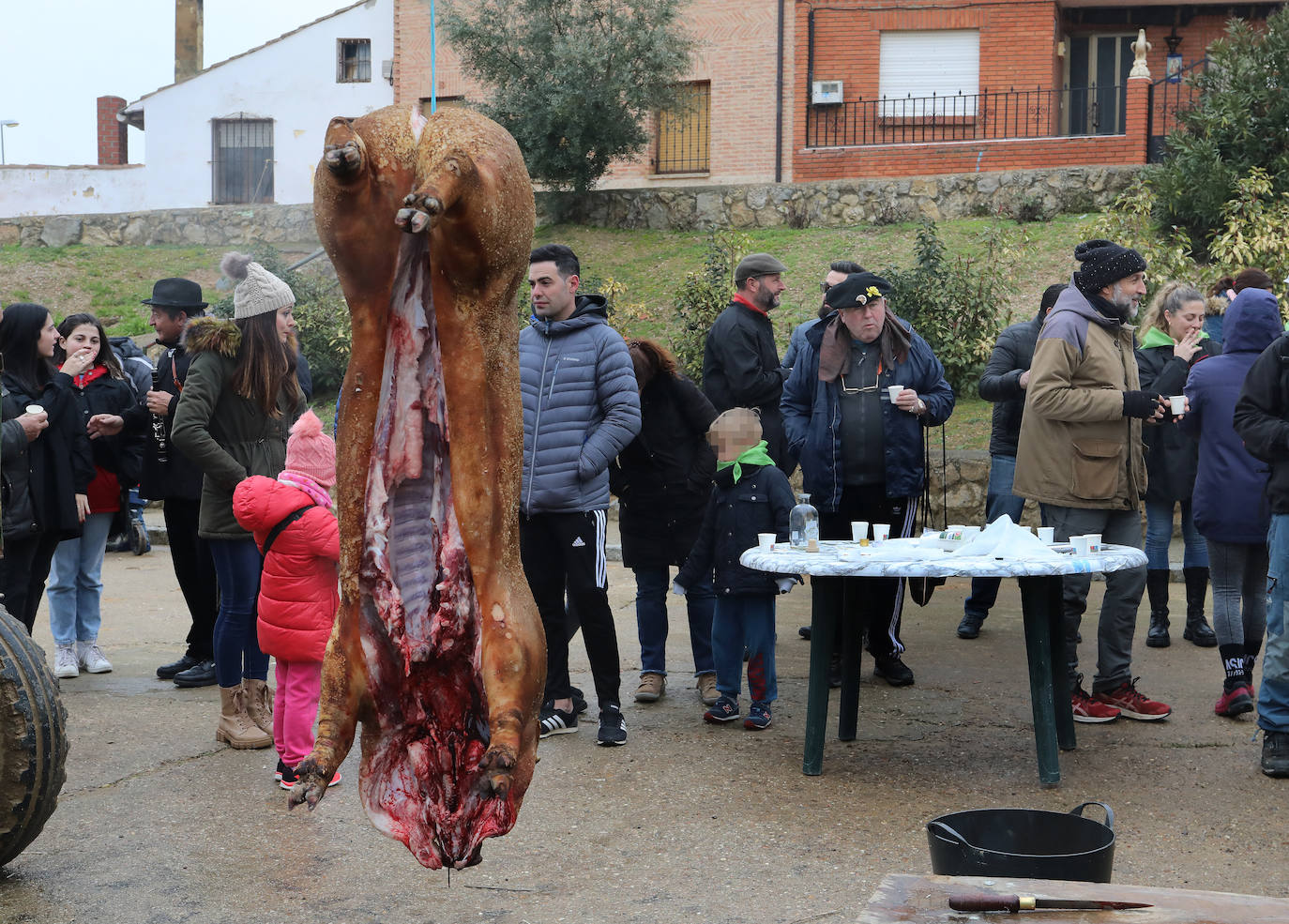 Fotos: Fuentes de Nava vive la fiesta de San Antón
