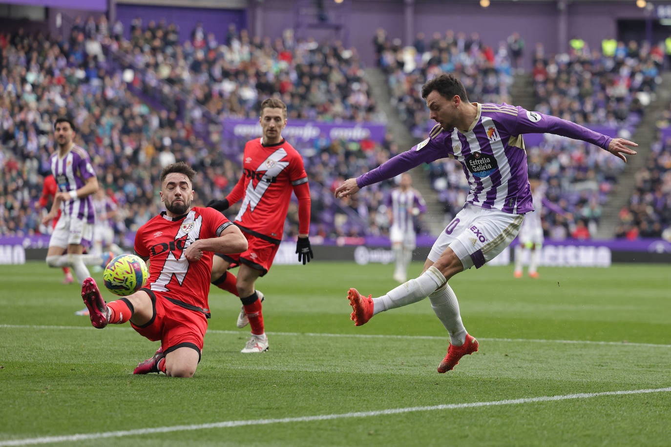 Fotos: Las fotos del Real Valladolid 0-1 Rayo Vallecano (2/2)