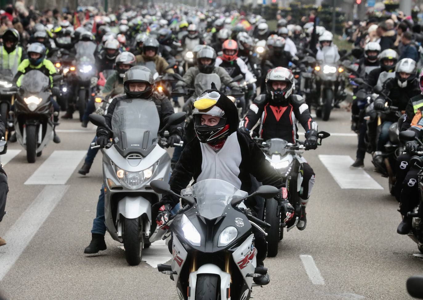 Fotos: Desfile de banderas en Pingüinos 2023 (2/4)