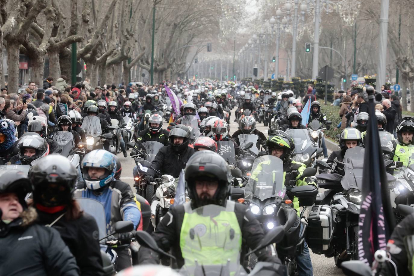 Fotos: Desfile de banderas en Pingüinos 2023 (2/4)