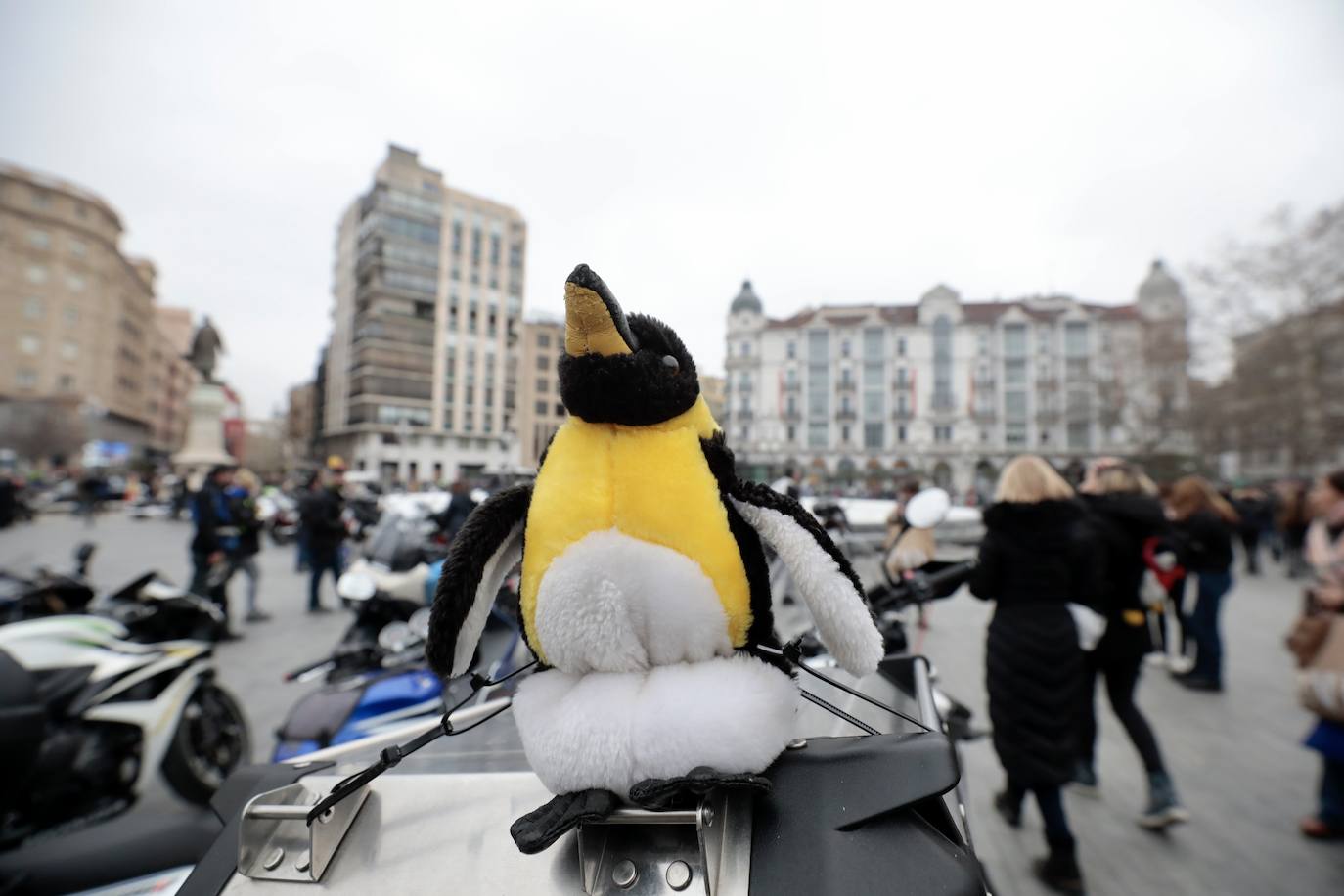 Fotos: Desfile de banderas en Pingüinos 2023 (3/4)