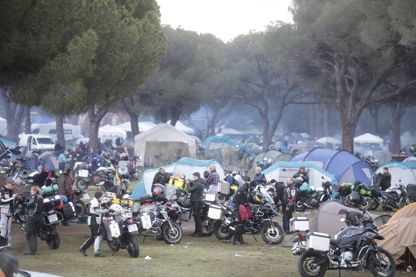 Fotos: Desayuno, entrega de premios y despedida de Pingüinos 2023 (1/2)