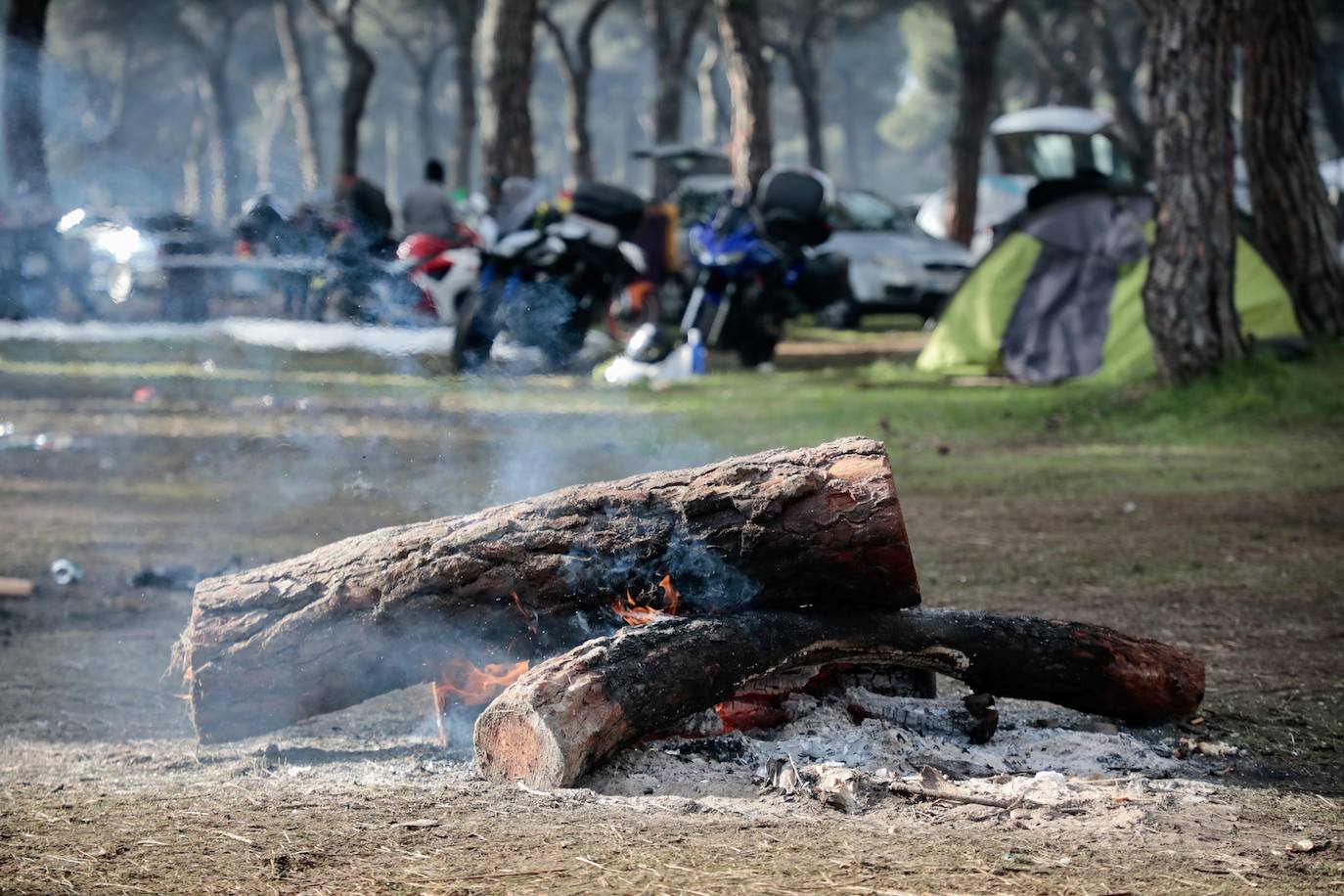 Fotos: Desayuno, entrega de premios y despedida de Pingüinos 2023 (2/2)