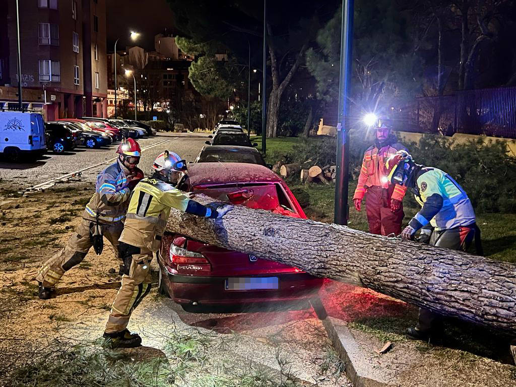 Los bomberos retiran un árbol que se desplomó y golpeó dos vehículos aparcados en la calle Ángel Chamorro, en Huerta del Rey. 