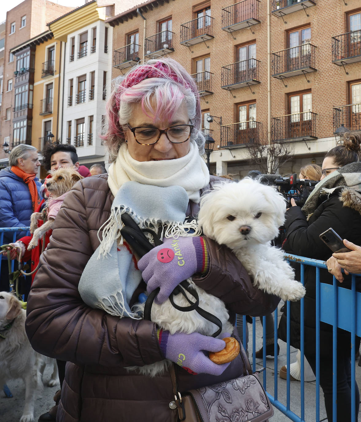 Fotos: Bendición de animales en Palencia