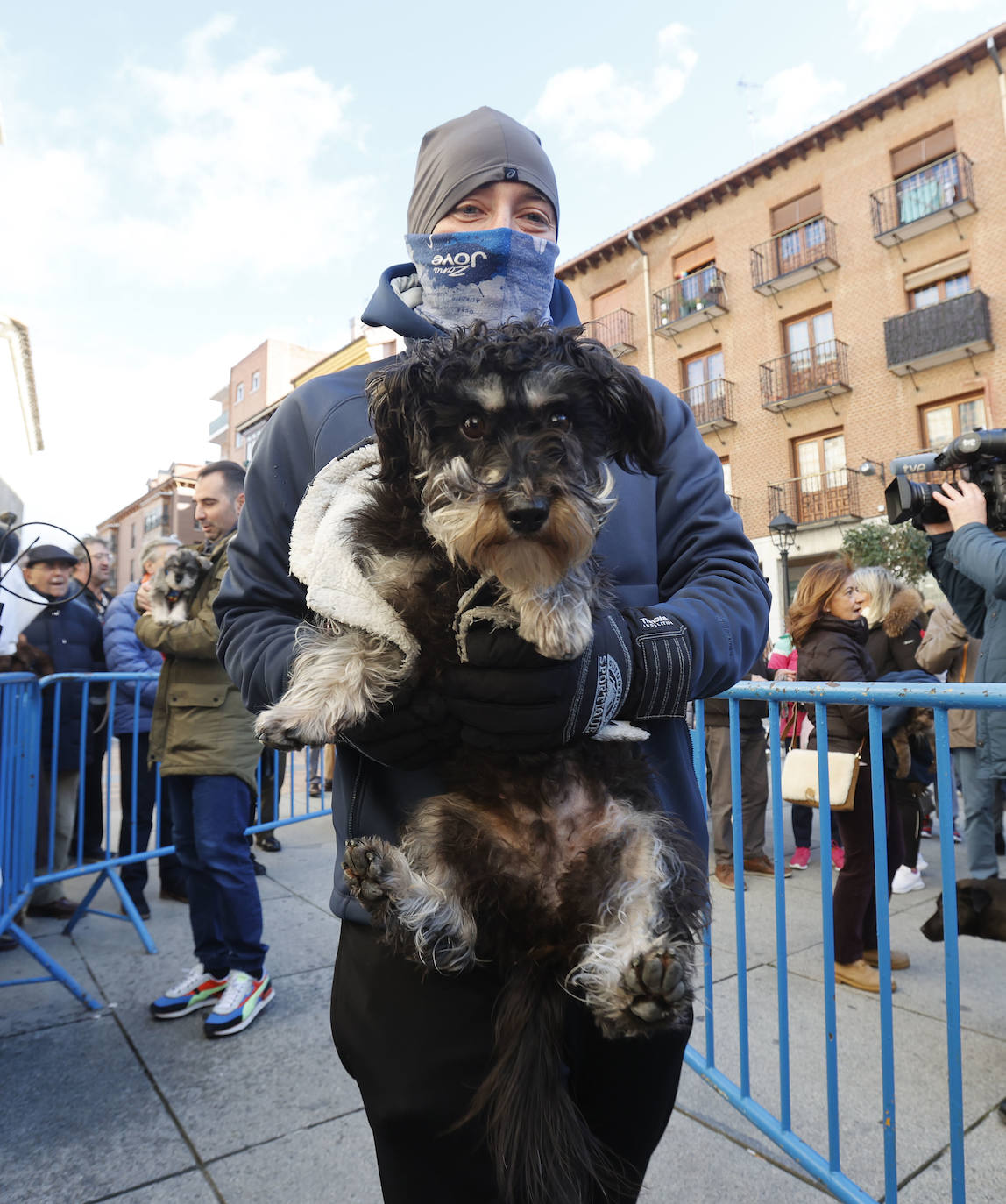 Fotos: Bendición de animales en Palencia