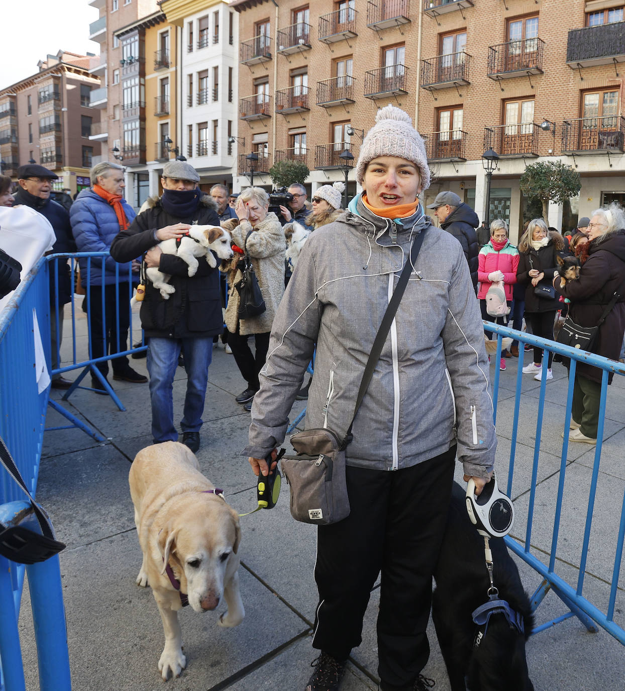 Fotos: Bendición de animales en Palencia