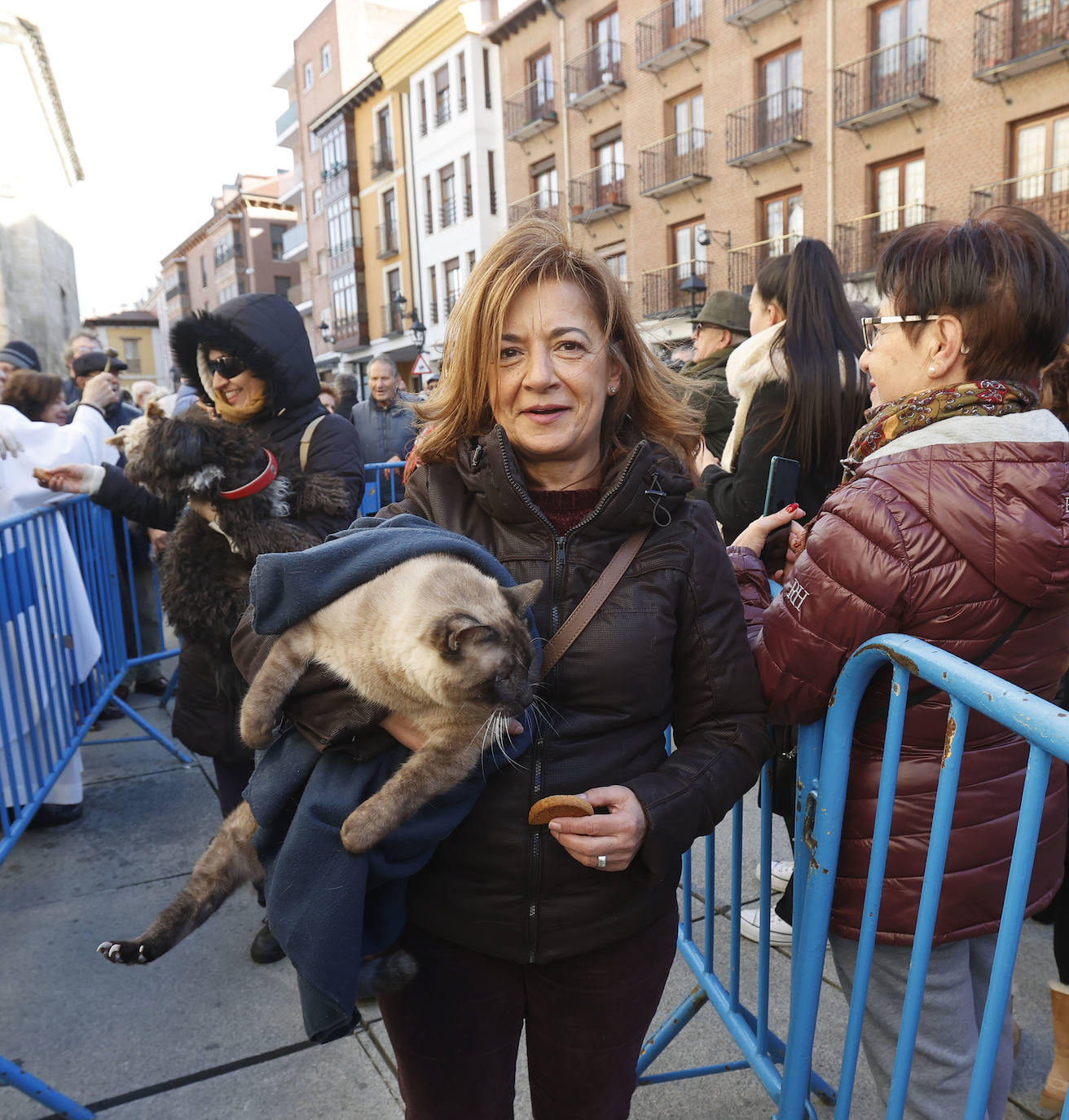 Fotos: Bendición de animales en Palencia