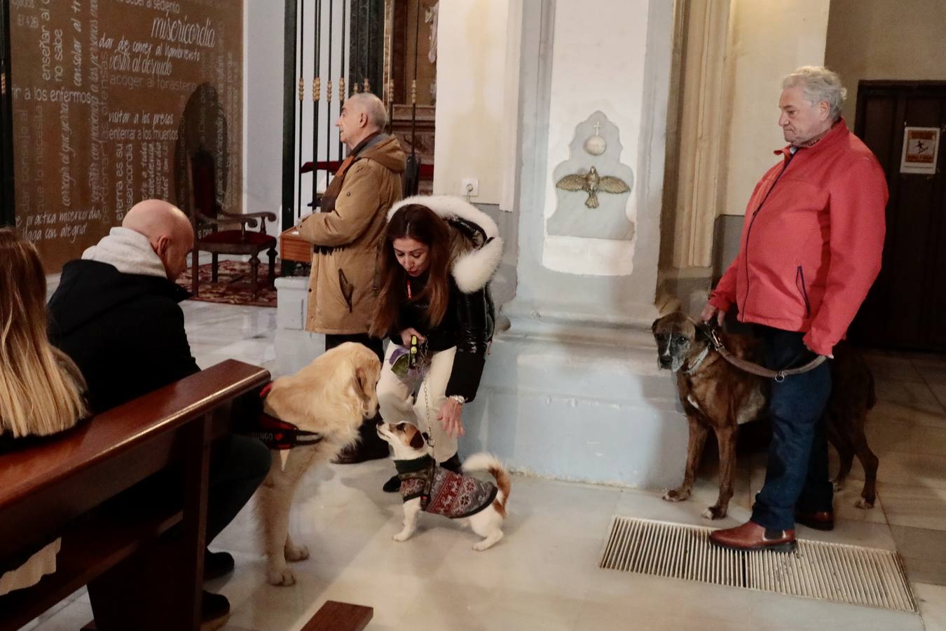 Fotos: Bendición de animales por San Antón en Valladolid