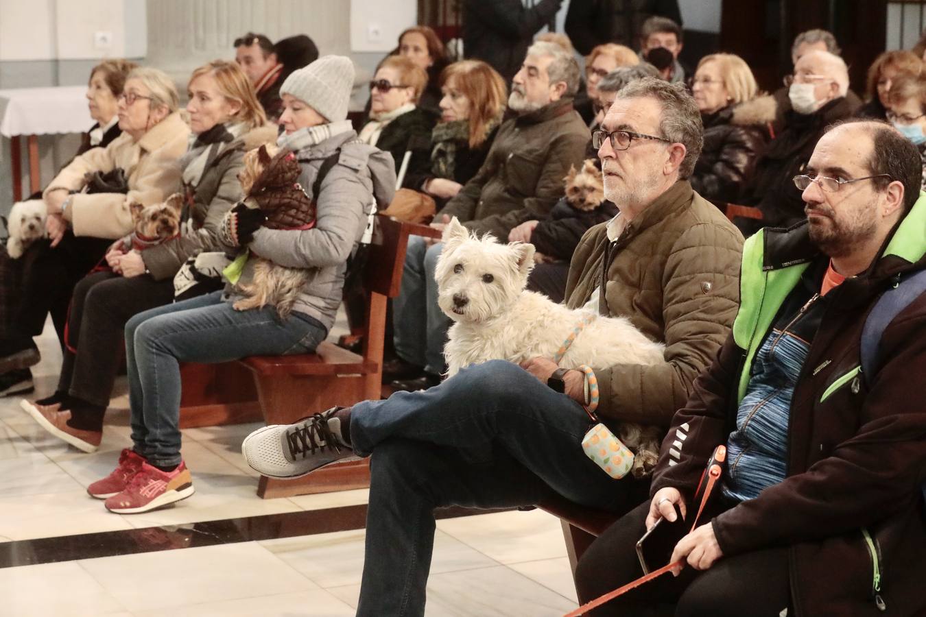 Fotos: Bendición de animales por San Antón en Valladolid