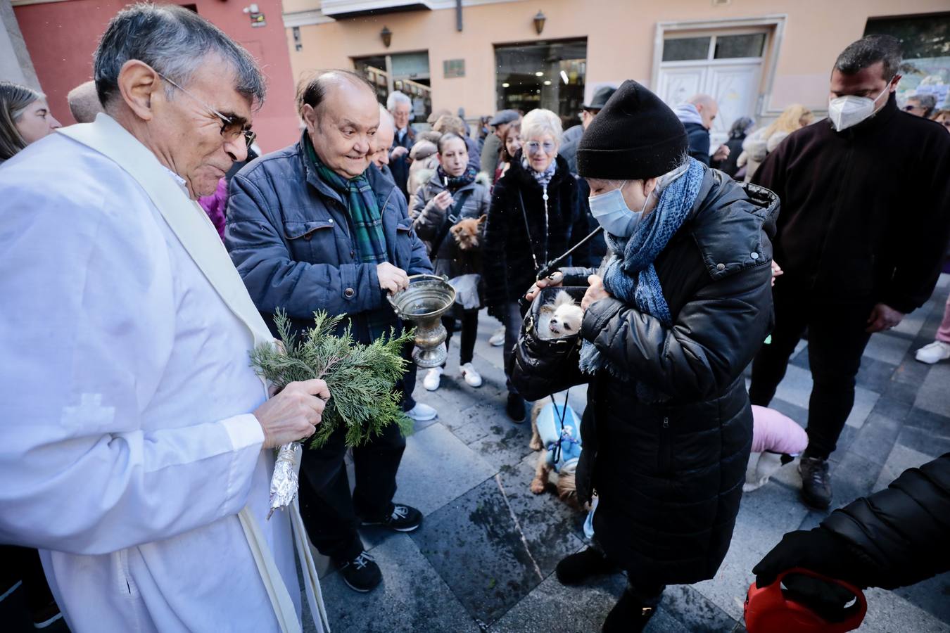 Fotos: Bendición de animales por San Antón en Valladolid