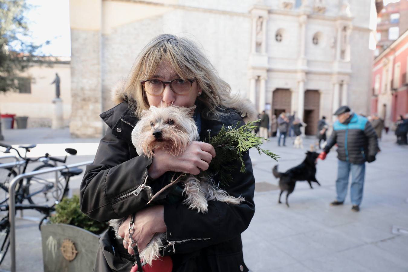 Fotos: Bendición de animales por San Antón en Valladolid