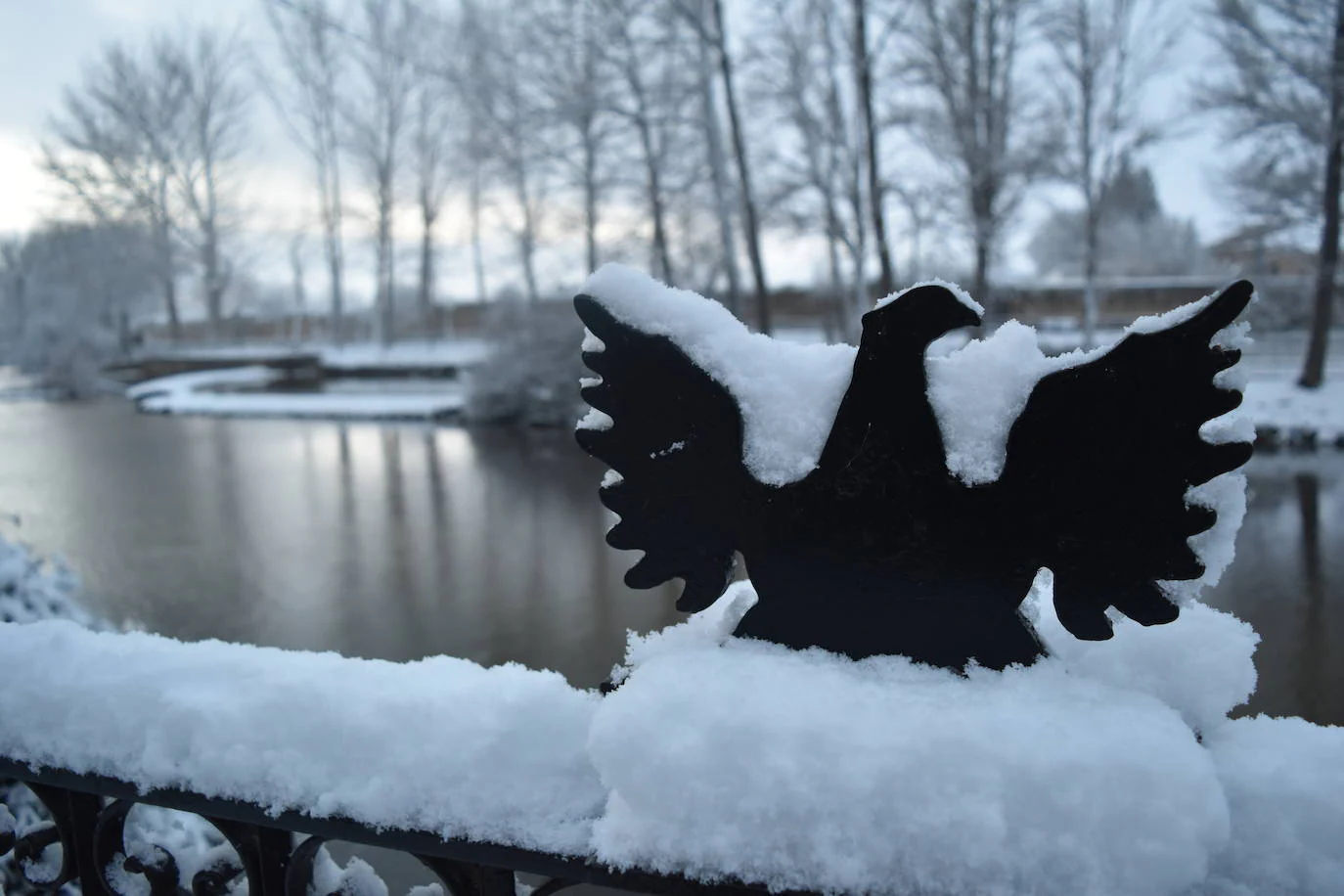 Fotos: La nieve cubre Aguilar de Campoo y sus entornos